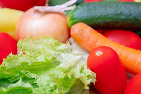 蔬菜生菜洋葱西红柿胡图片