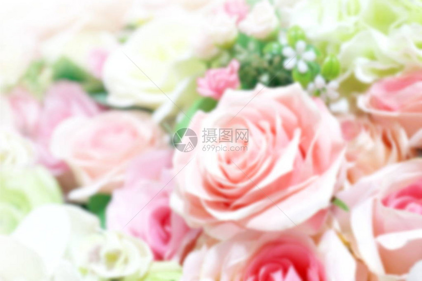 背景模糊的玫瑰粉色柔和花束图片