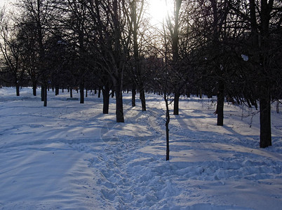 莫斯科在阳光照耀下的春天的雪中图片