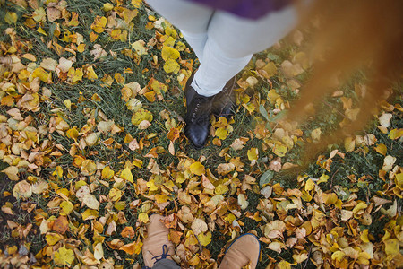 一在黄色秋天的树叶上双腿和双图片