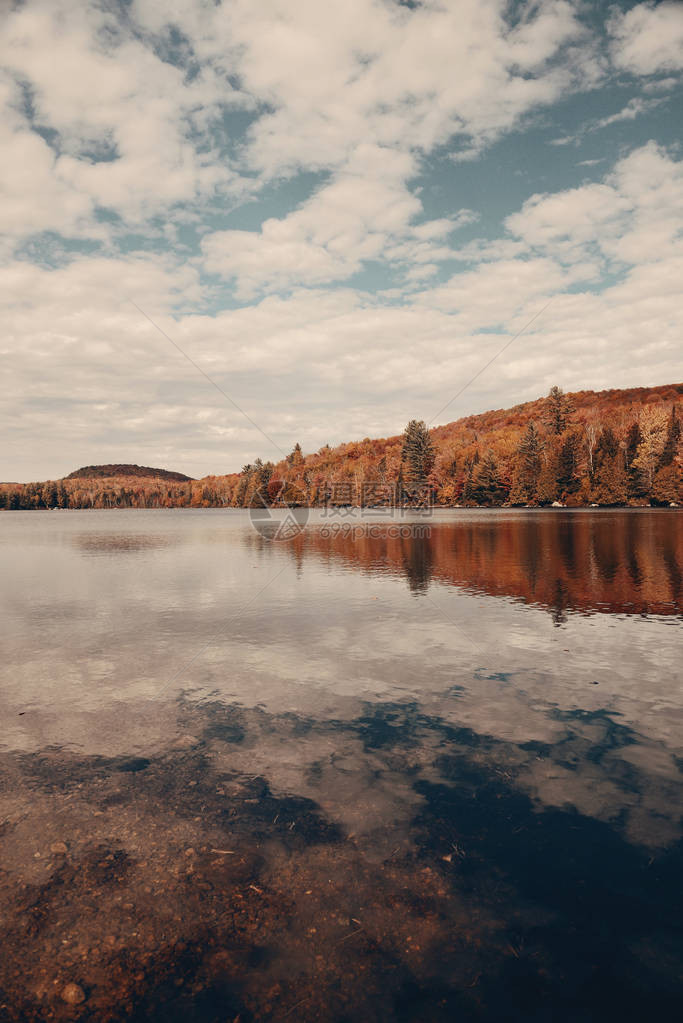 在新英格兰斯图瓦市有秋树叶湖和山丘图片