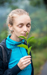 闻茶树枝的女人图片