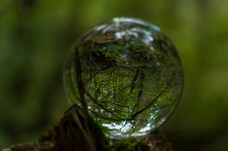 有水晶球反射的森林图片