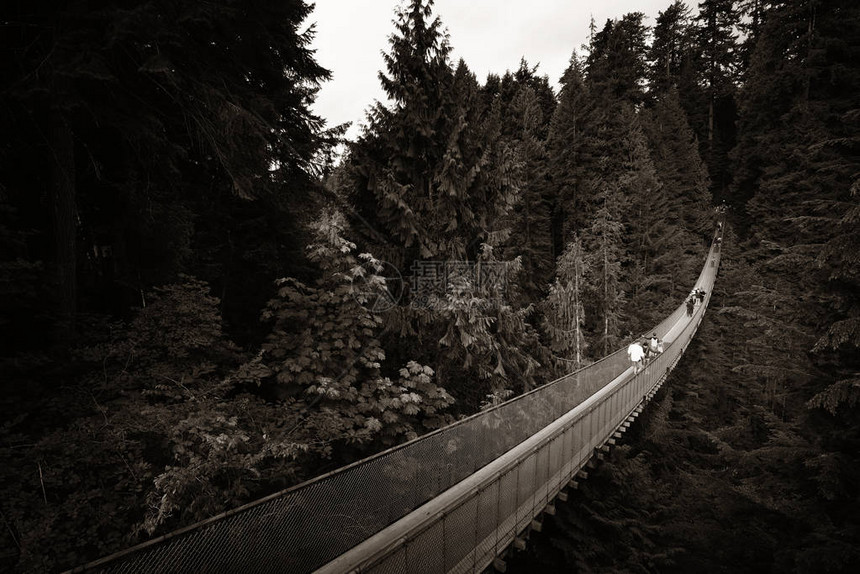 加拿大温哥华的卡皮拉诺吊桥图片