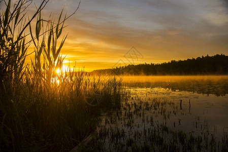 在有雾的池塘的夏天日落图片
