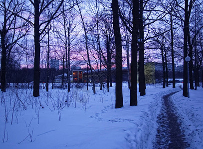 莫斯科公园冬天的黎明图片