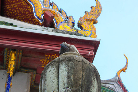 两只鸽子站在寺庙的屋顶上白天在Ban图片