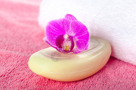 香薰皂上的粉色兰花图片