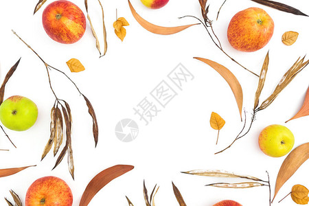 秋叶边框架白背景的苹果水平躺顶视背景图片