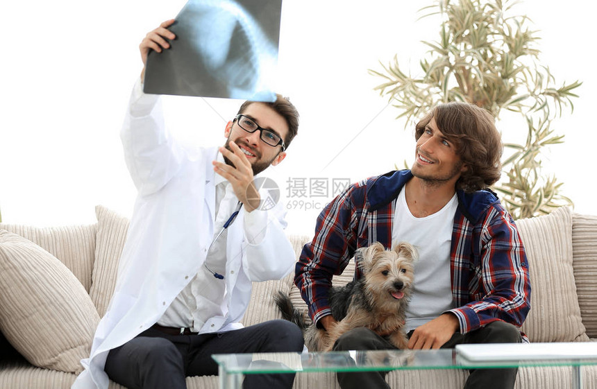 兽医向狗主人出示X光片由一名图片