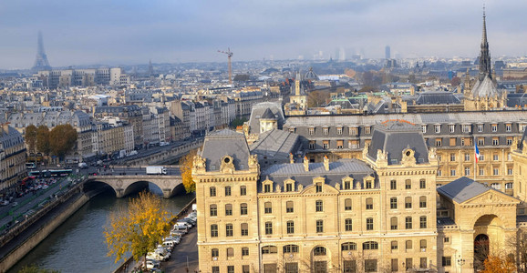 巴黎市的全景从圣母院大教图片