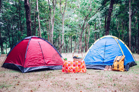 早上日出时在树下露营帐图片