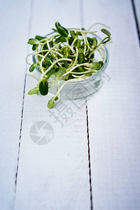 白色木桌上心形碗中的新鲜绿芽向日葵图片