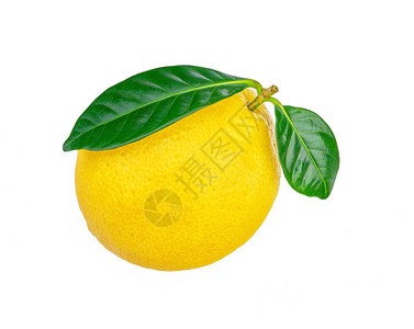 一个绿色的柠檬图片