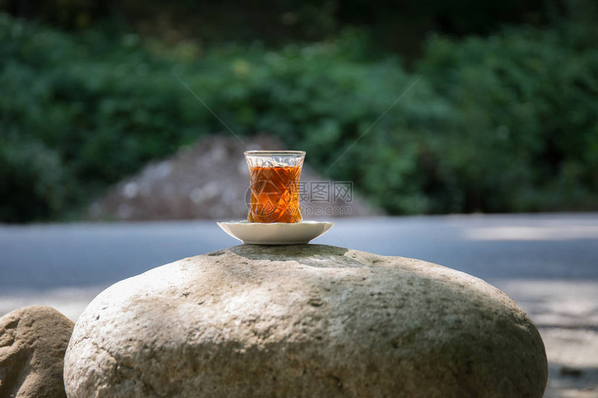 东方黑茶在森林的一块石头上图片