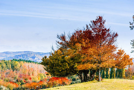 美丽的秋天风景在Wernigerode的Benzinge图片