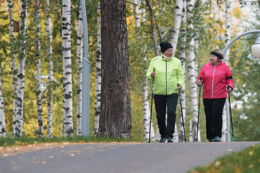 两名老年妇女参与斯堪的纳维亚人在公园中行走图片