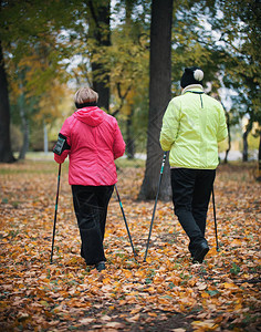 斯堪的纳维亚有两名老年妇女在公园走在树中路外的公园里图片
