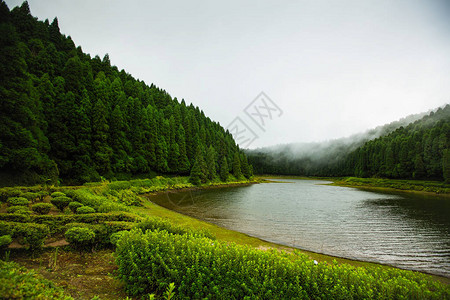 湖边的风景与雾从水中飘过葡萄牙图片