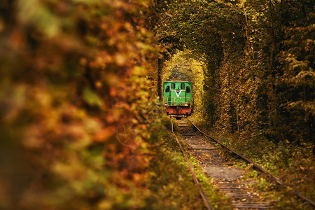 古老的火车在美丽的隧道上在乌克兰的图片