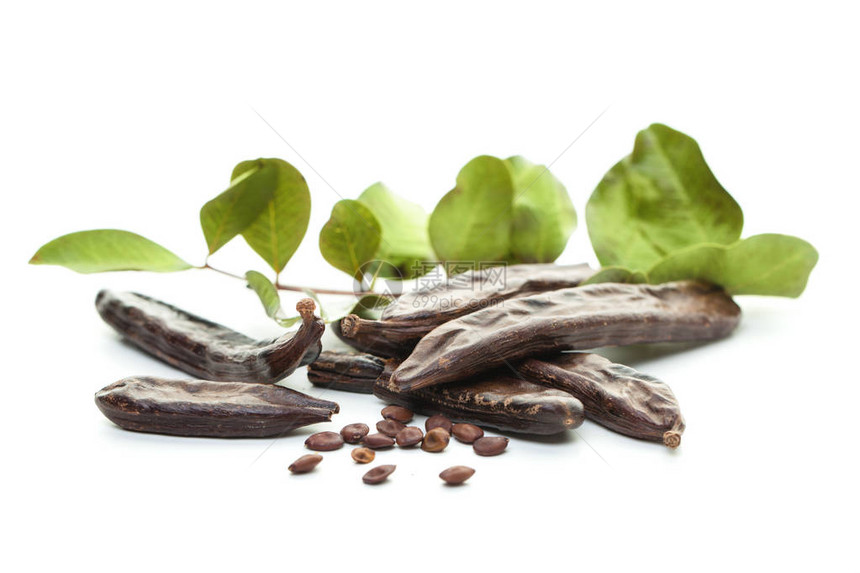 角豆树图片