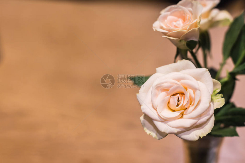 木桌背景带复制空间的浅粉红玫瑰带有文字位置的罗马图片