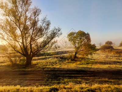 秋季早晨的田野图片