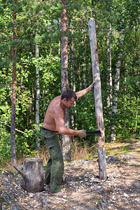 一个人在森林里砍柴烧木头图片