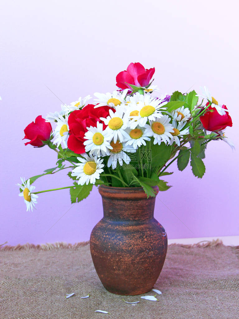 陶罐中的白雏菊和红玫瑰花束正在被解职淡紫色背景上的花盆里的花桌子上花瓶里的洋图片