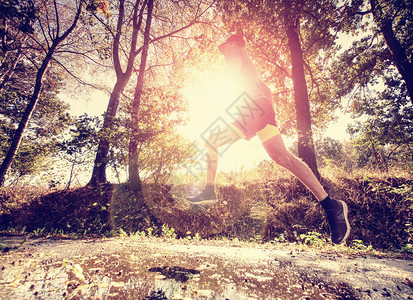 穿着苗条运动服的漂亮高个子跑步者在树木和黄叶的城市公园跑步和训练图片