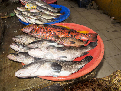 市场上新鲜海食品市场印度尼西图片