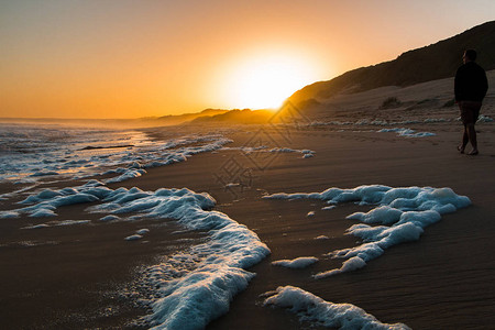 沙滩日落沙子上沾满了海泡沫和人类向日图片