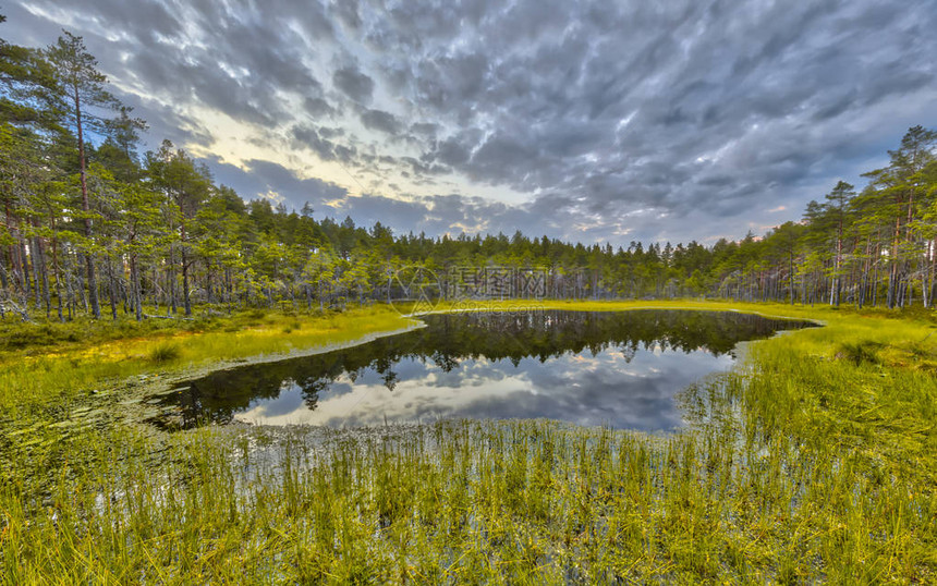 瑞典Vastergogotland的Hokensas自然保护区图片