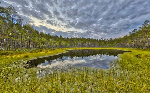 瑞典Vastergogotland的Hokensas自然保护区图片