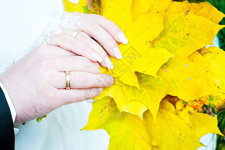 一对双手用叶子和钻石订婚戒指图片