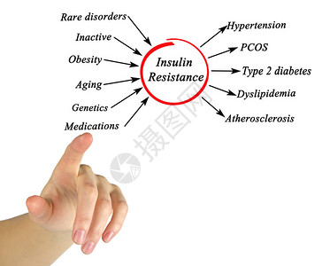 胰岛素抵抗的原因和影响图片