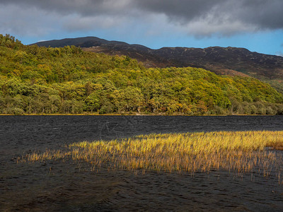 苏格兰高地特罗萨克斯山公园三湖公路上的秋日背景图片