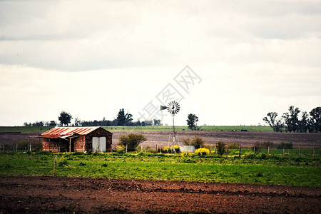 阿根廷EntreRios农背景图片