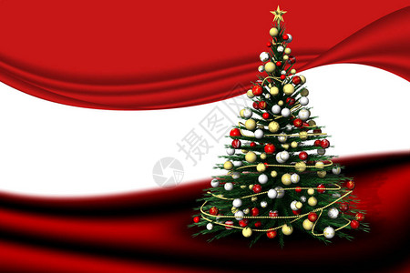 圣诞Fir树装背景图片