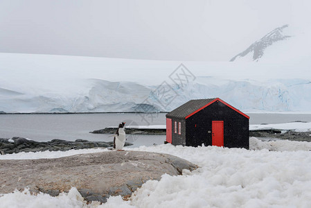 洛克罗伊港南极站图片