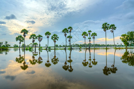 汛期汛情月亮多彩背景