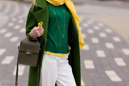 温暖的绿色polto黄色围巾绿色夹克一个棕色手提包图片
