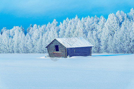 在芬兰拉普兰圣诞节冬天的雪图片