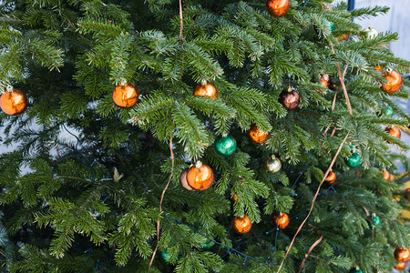 美丽的彩色装饰圣诞树节日背景图片
