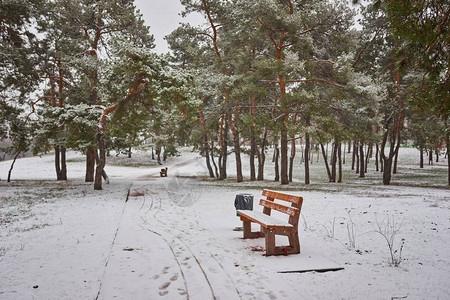 冬天雪地公园里的长凳图片