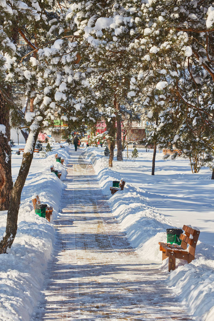 冬天雪地公园里的长凳图片