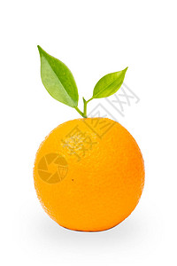 白色背景上的橙色水果图片