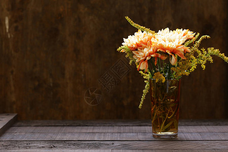 装饰背景的秋花组合背景图片