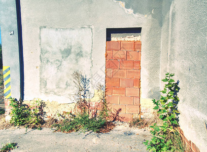 一座废弃建筑外墙上的装饰窗户和一背景图片