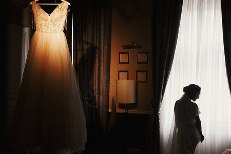 华丽的新娘剪影站在时尚的婚纱上图片